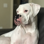 Image of Platinum Level Sponsorship