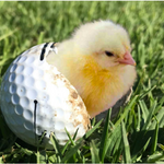 Image of Chicken Dinner Purchase