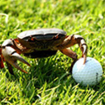 Image of Crab Feast & Tee To Green