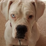 Image of Individual Hole Sponsorship