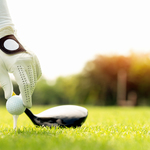 Image of Presenting Sponsor