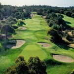 Image of CLOSEST TO THE PIN- WOMEN