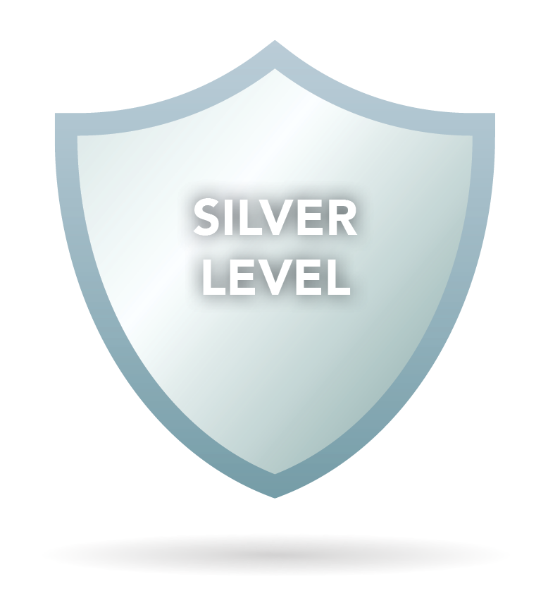 Bo's Effort - Default Image of Silver Level