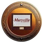 Image of Framed Pin Flag