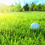 Image of Event Sponsor