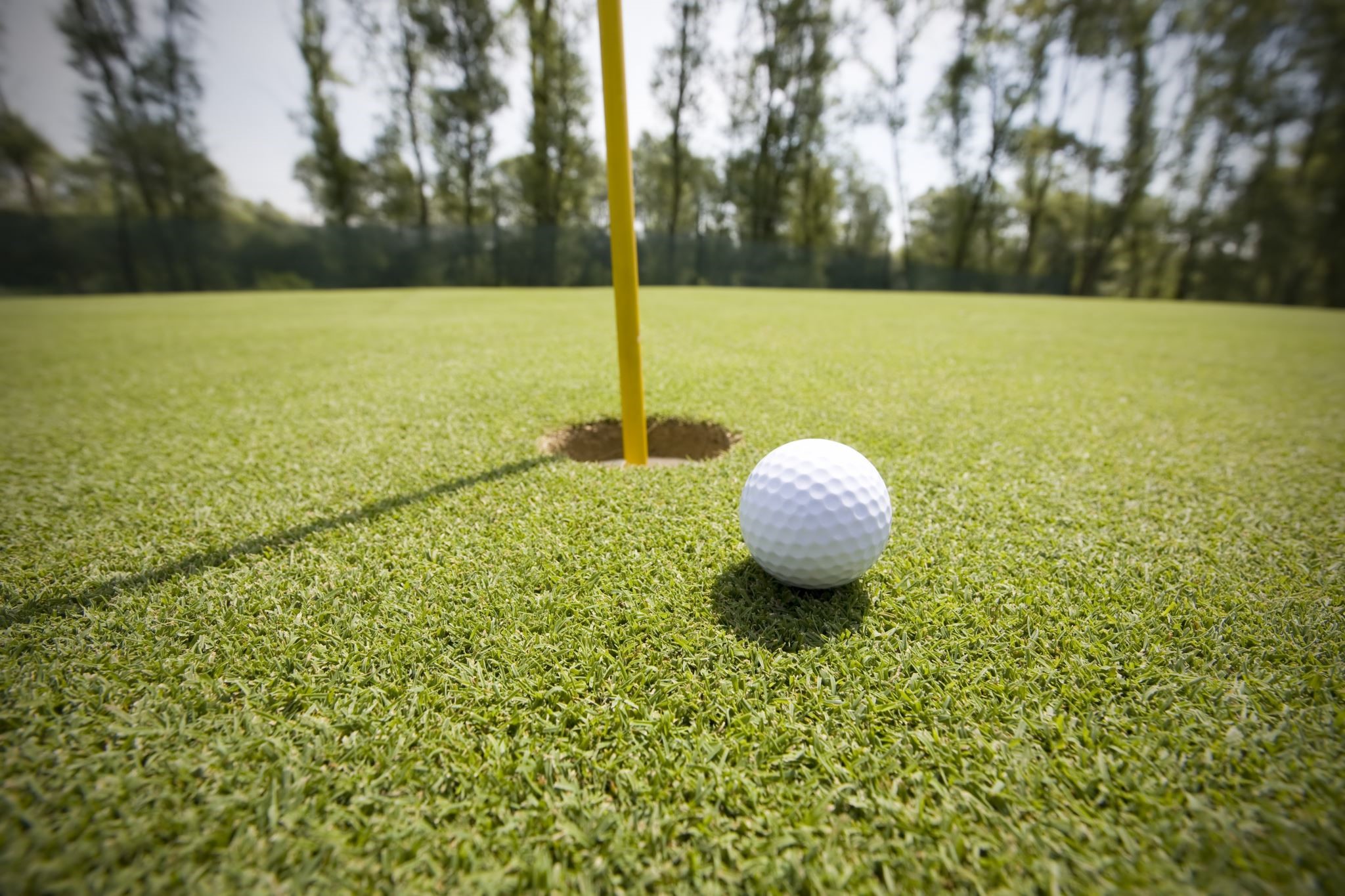 2025 Pawcatuck Lions Club Golf Tournament - Default Image of Closest to the Pin Sponsor