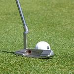Image of Putting Contest Entry