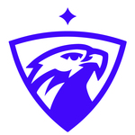 Image of BIRDIE SPONSOR 