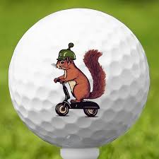 2025 Loyal Order of The Squirrels Golf Tournament - Default Image of Pink Ball Game