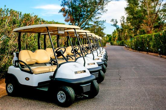 Image of Golf Cart Sponsor