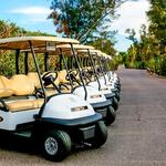 Image of Golf Cart Sponsor