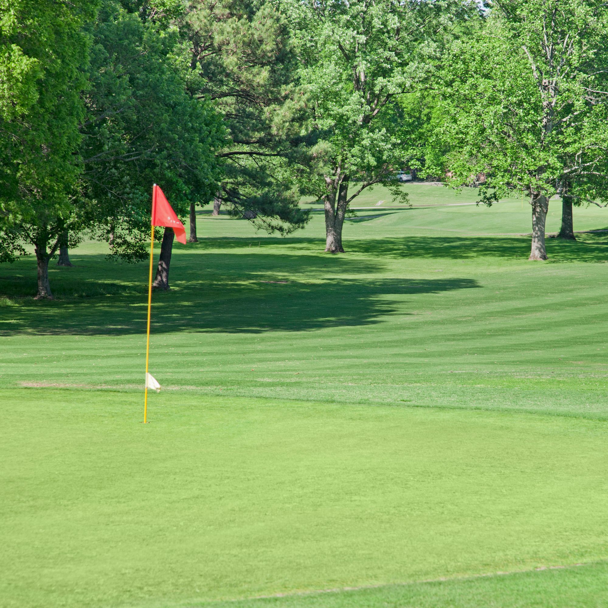 Annual Keller Williams McLean Great Falls Charity Golf Tournament - Default Image of Putting Contest
