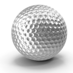 Image of Dinner Sponsor