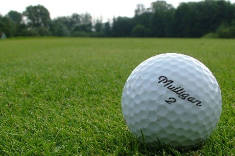 Scaffold Resource 8th Annual Charity Golf Outing - Default Image of 2 Mulligans