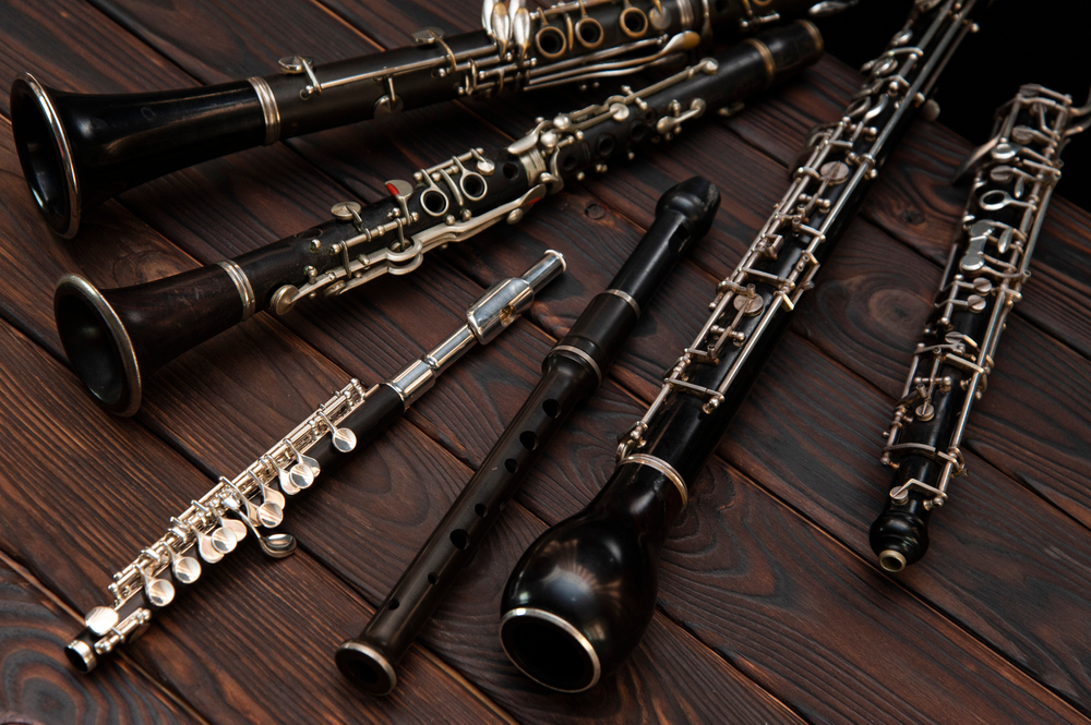 The Maestra's Masters - Default Image of Tiger Woodwinds