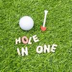 Image of Every Golfers Fantasia (Hole In One)