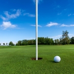 Image of "The Seeker" Closest to the Pin