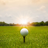 2025 Putter Madness Event - Supporting The Greater SW Chapter of Credit Unions - Default Image of Sultans of Swing Tee Sponsor