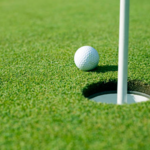 Image of Hole Sponsor