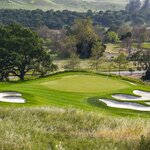 Image of Birdie Sponsor