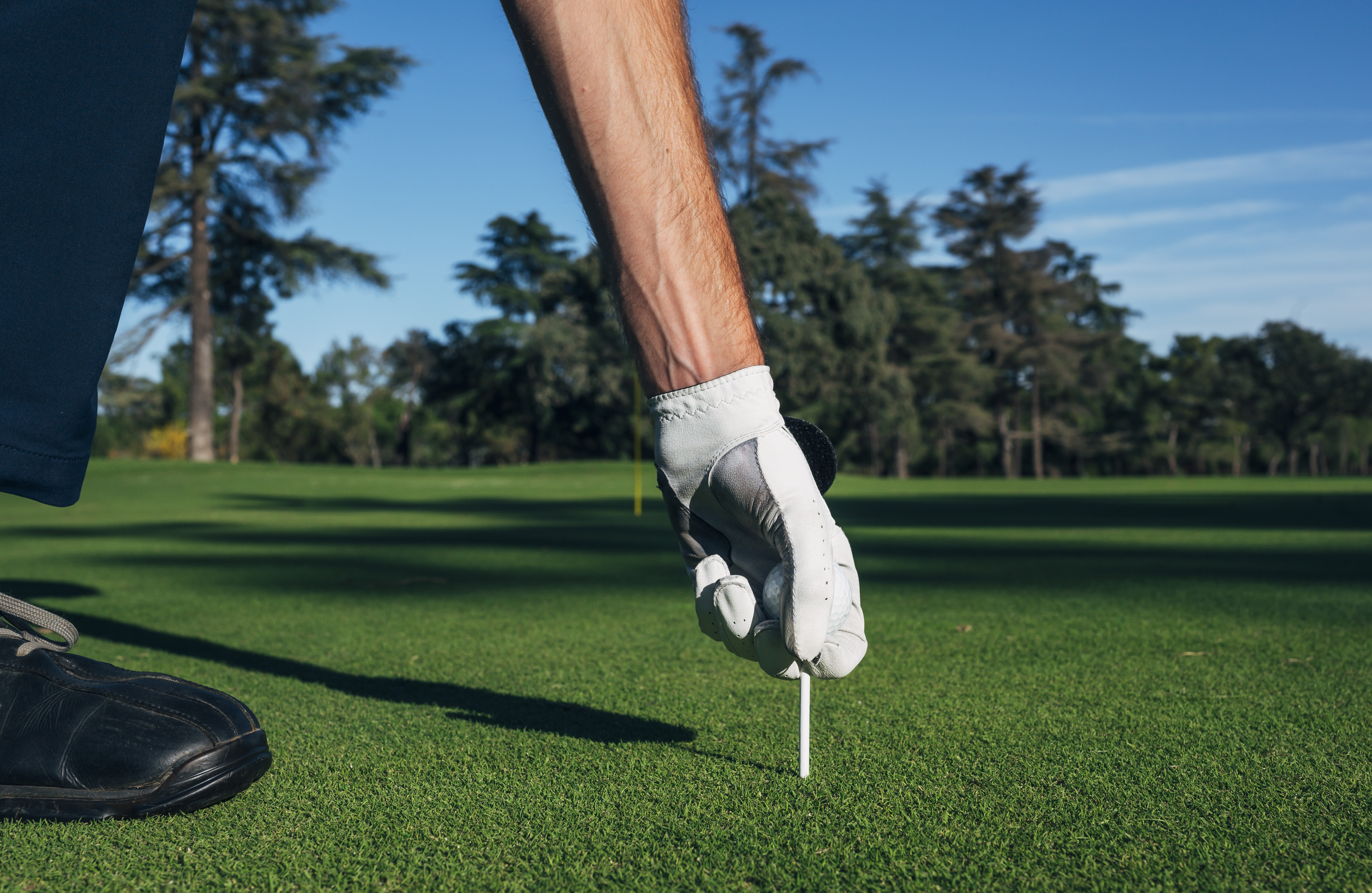 Image of Longest Drive Sponsor