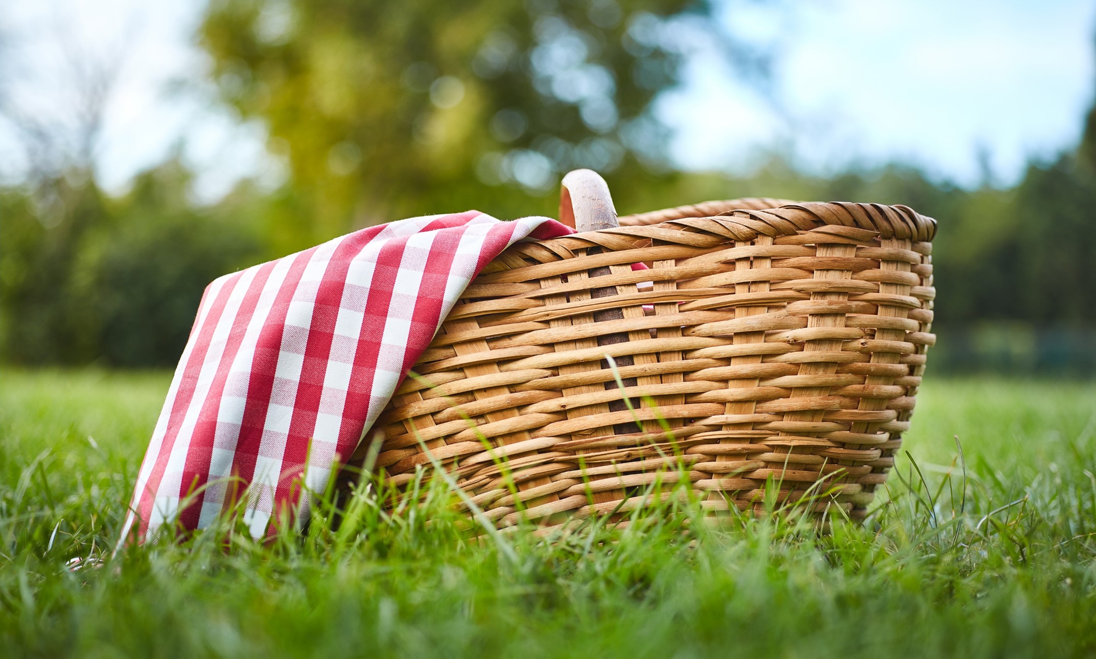 Sue Baldwin Fund Pink Classic 2025 - Default Image of Lunch Sponsor