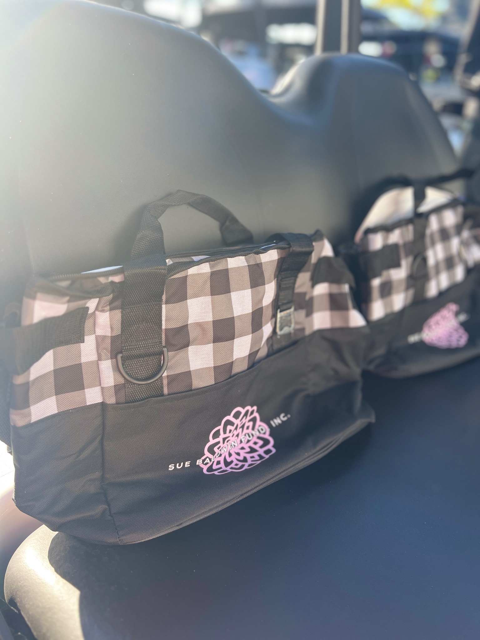 Sue Baldwin Fund Pink Classic 2025 - Default Image of SWAG (gift package) Sponsor