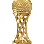 Image of Gold Sponsorship