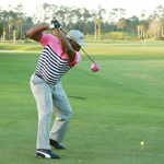 Image of Long Drive 