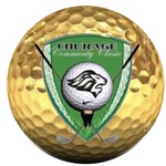 Image of GOLD Sponsorship