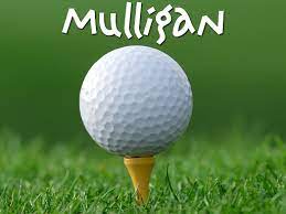 PWSI Golf Championship 2025 - Default Image of Mulligans