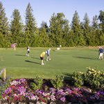 Image of Chipping Challenge Sponsor