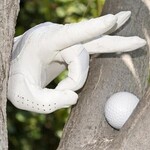 Image of MULLIGAN PACKAGE (Option 1)