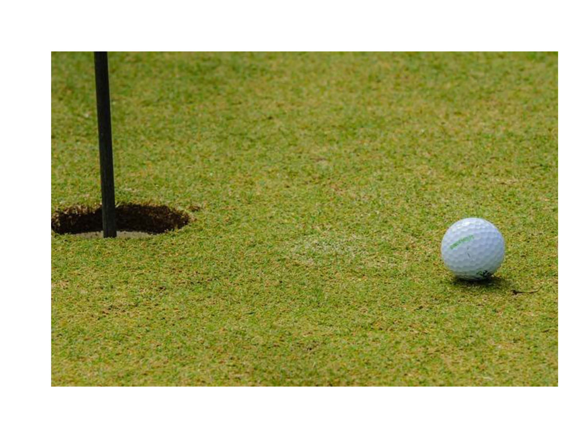 Mels Militia Charity Golf Tournament - Default Image of Hole Sponsor