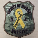 Image of Military Patch