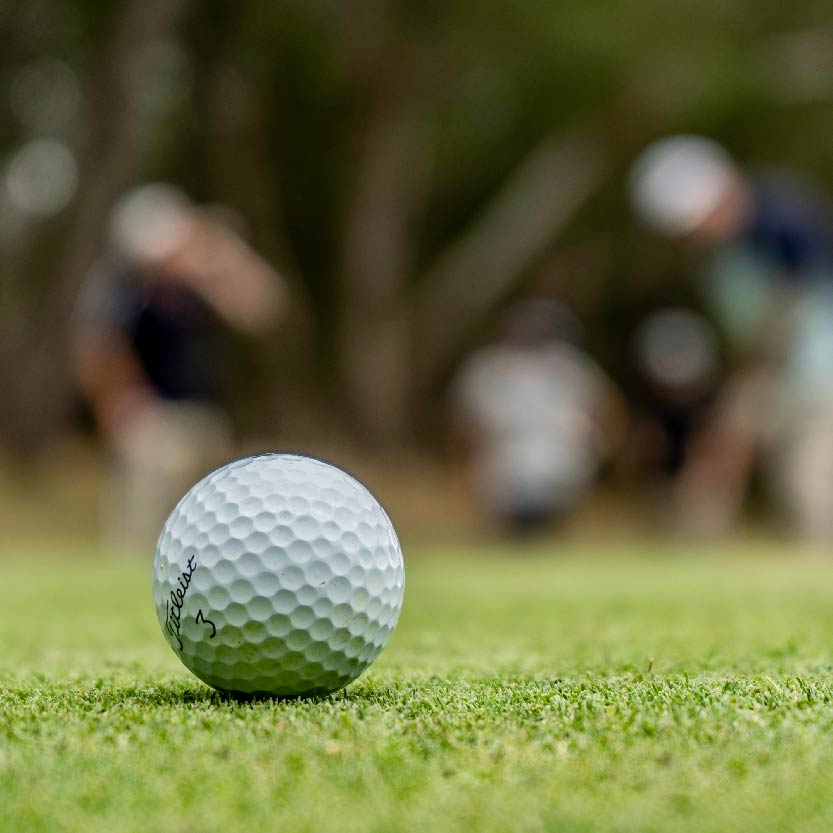 29th Annual Wild Well Golf Blowout - Default Image of Raffle Sponsor