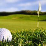 Image of Tournament Sponsor