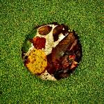 Image of Dinner Sponsor