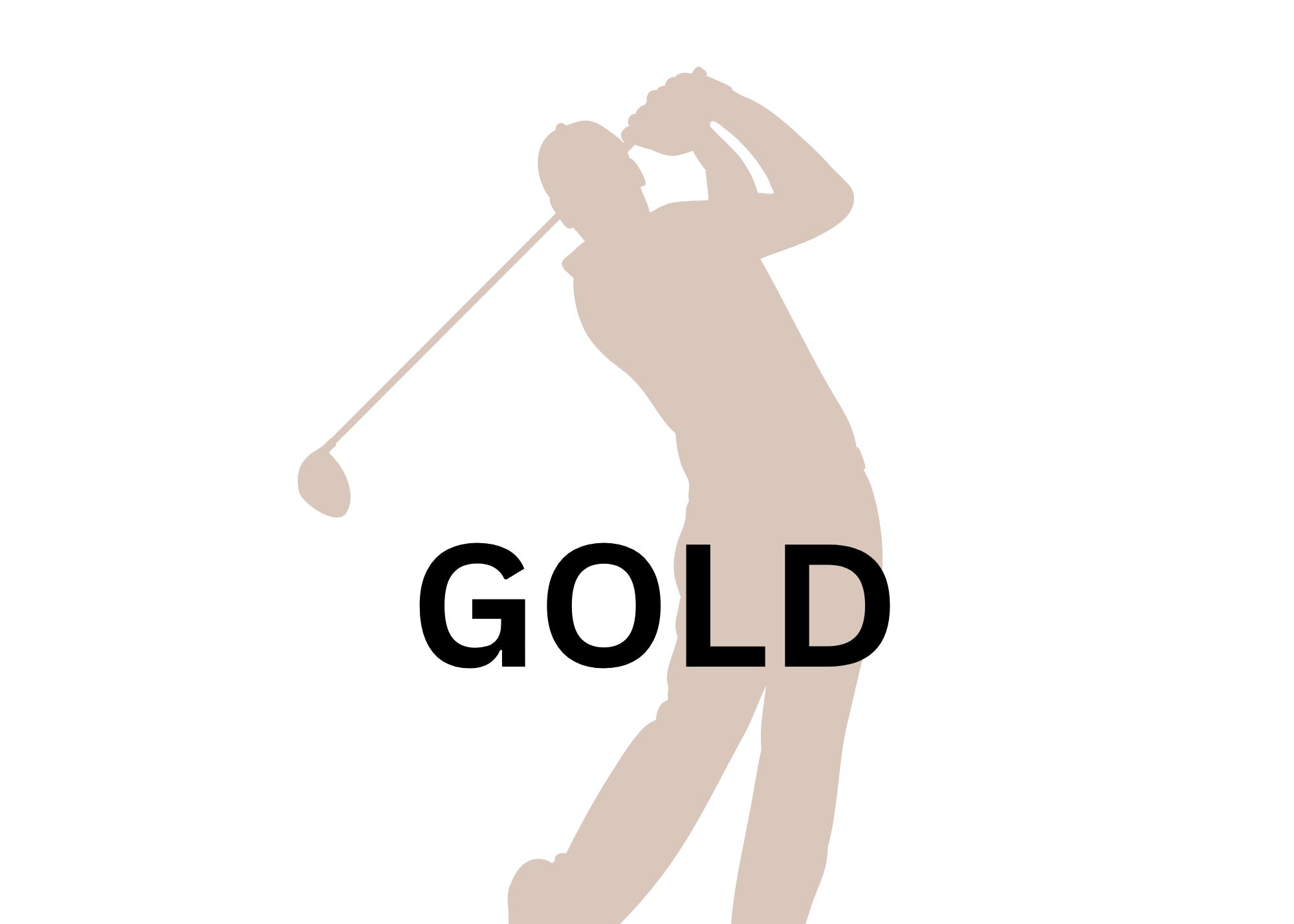 4th Annual AmFam Golf Tournament - Default Image of Gold Level Sponsor