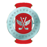 Image of Platinum Sponsor