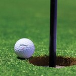 Image of Pro Hole Sponsor