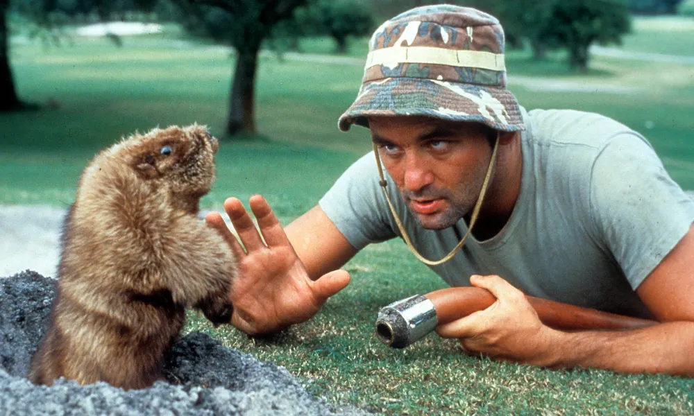 36th Annual Twin Cities Chapter Golf Scramble - Default Image of Birdie Sponsor