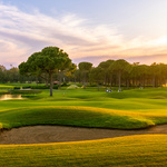 Image of VENDOR Package