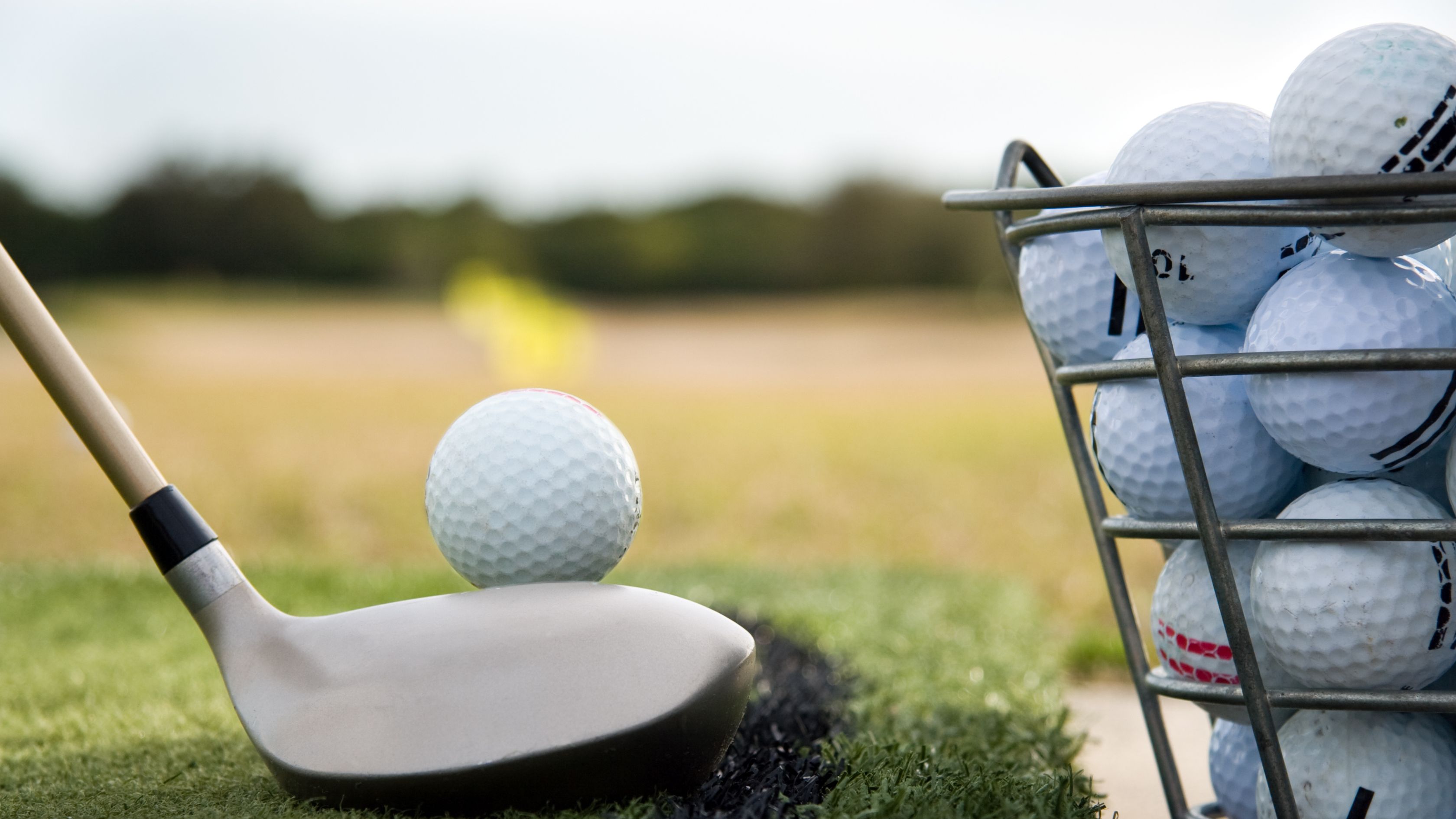 Dogslife's Putting for Pups 2025 - Default Image of Driving Range Sponsor