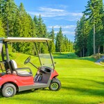 Image of Golf Cart Sponsor