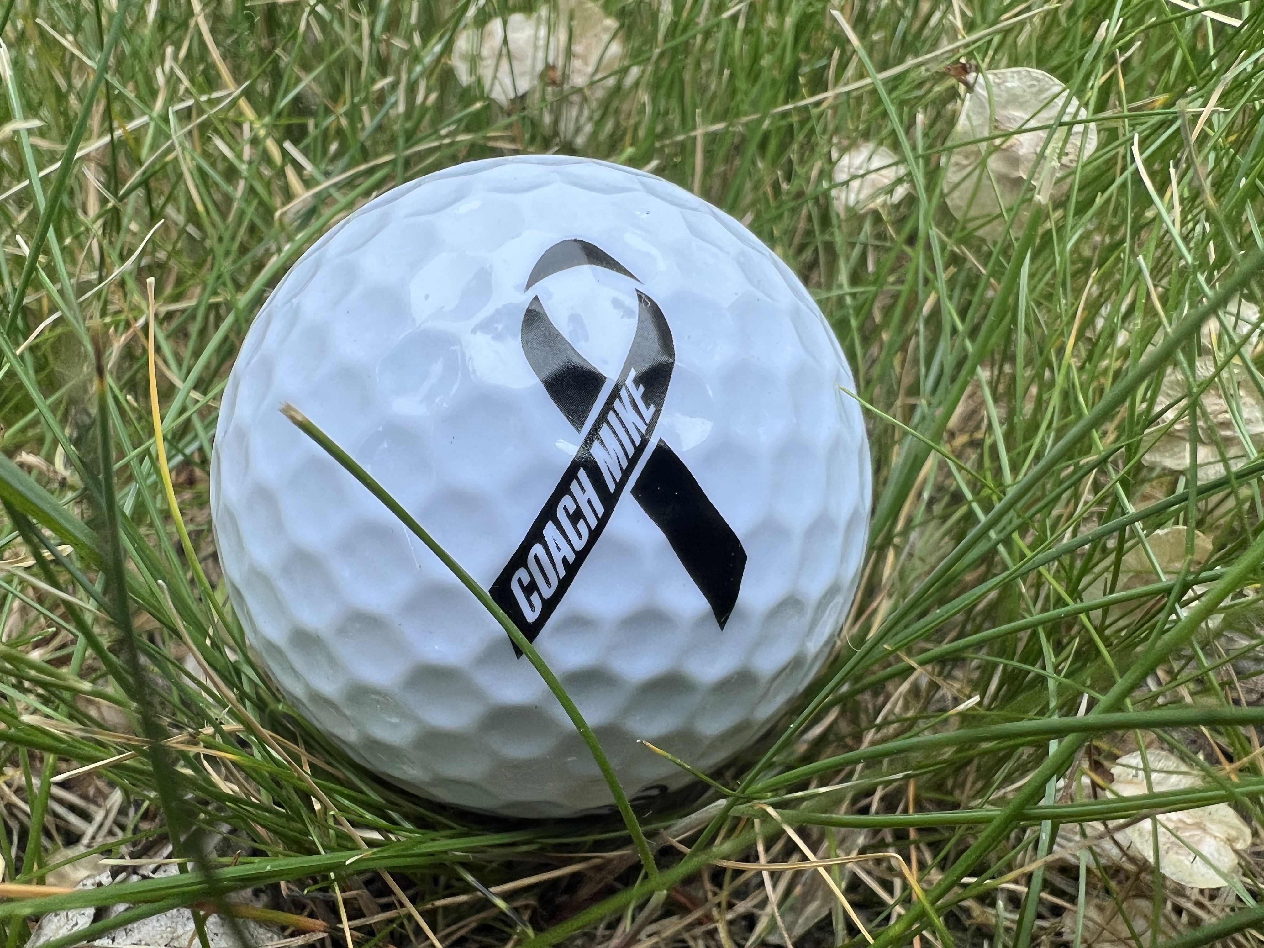 Mike Ryan Memorial Golf Scramble Benefitting Jefferson Girls Hockey - Default Image of Coach Mike $111 Donation to Girls Hockey. Your $111 donation helps provide carb-loading team pasta dinners to fuel the Jaguars.