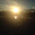 Image of Try-Hard Level