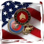 Image of Sergeant Sponsorship ($500.00)