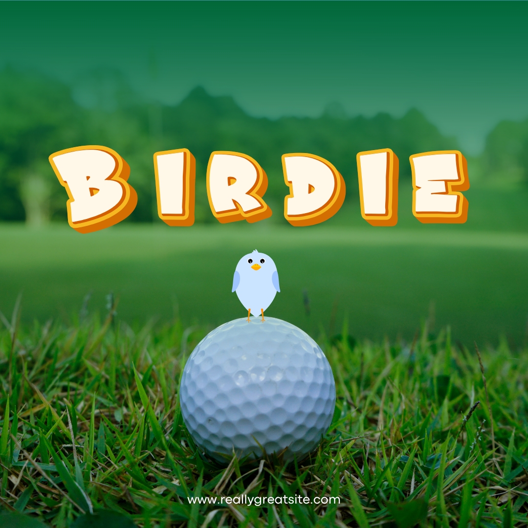 Swinging For Scholarships - Default Image of Birdie Sponsor