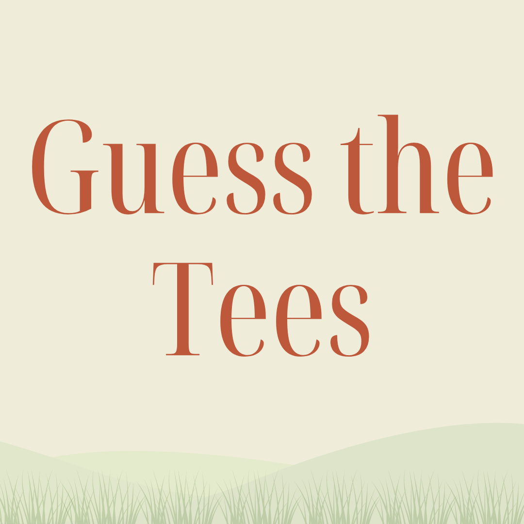Gardner Health Services Fundraising Golf Tournament - Default Image of Guess the Tees
